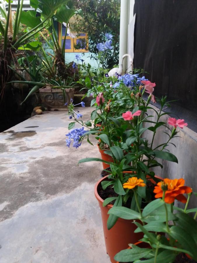 Mazz Homestay Negombo Exteriör bild