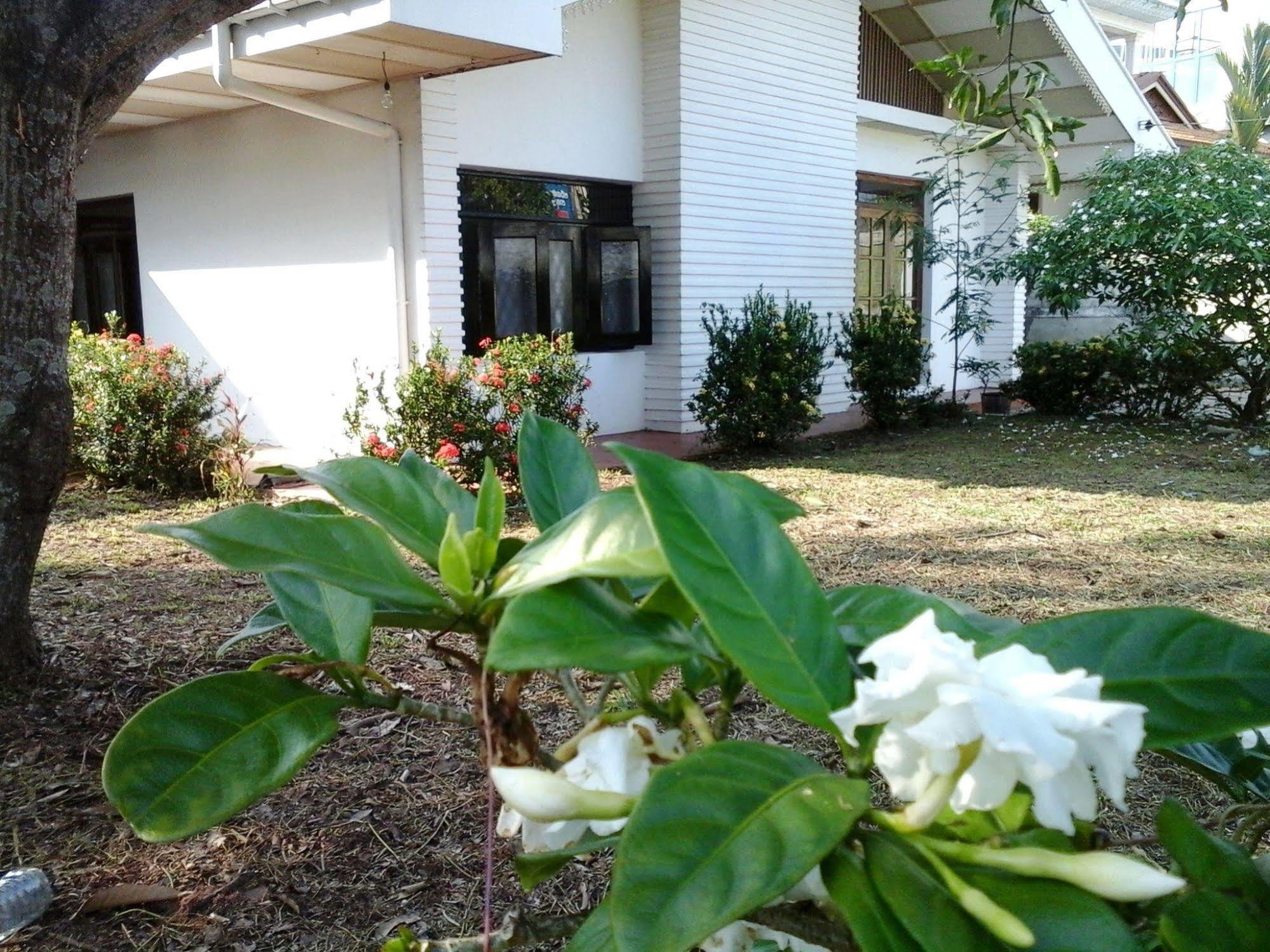Mazz Homestay Negombo Exteriör bild