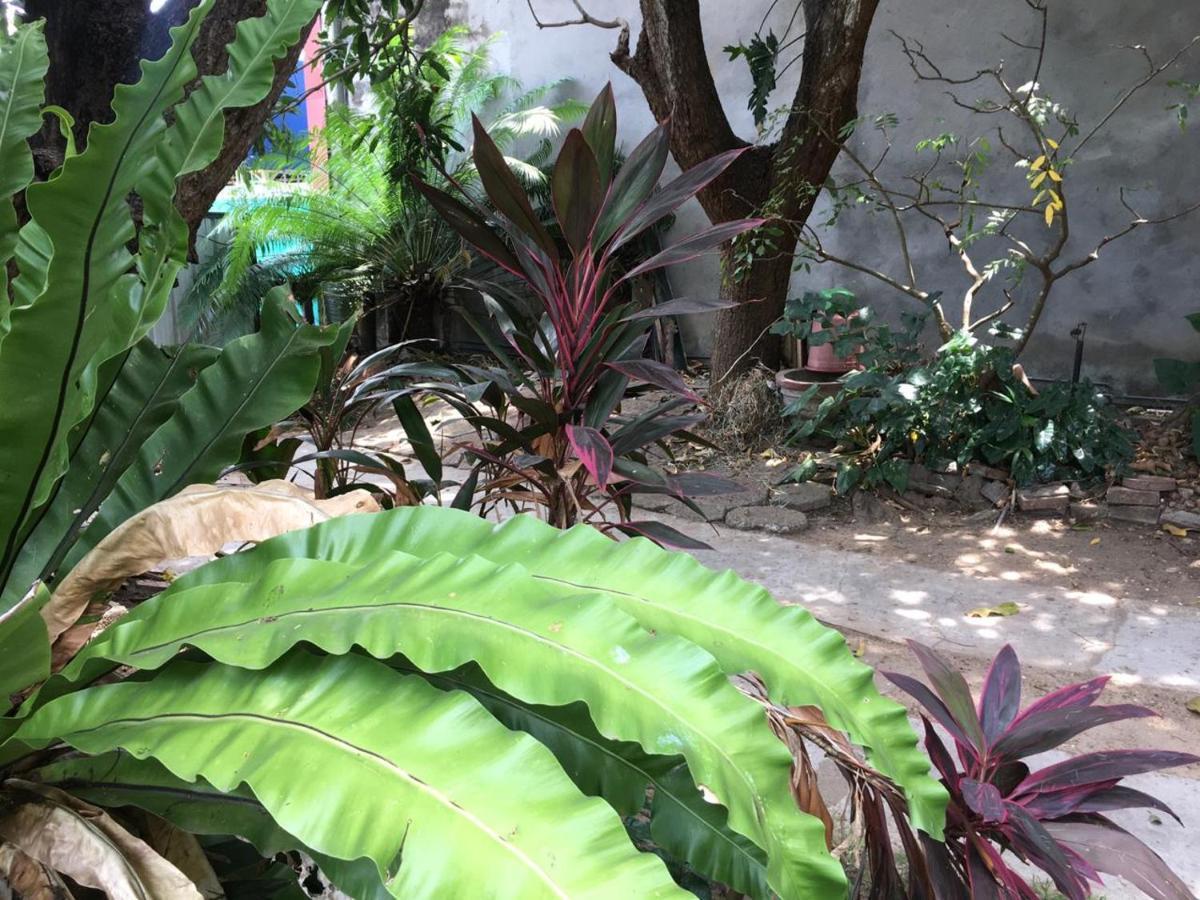 Mazz Homestay Negombo Exteriör bild