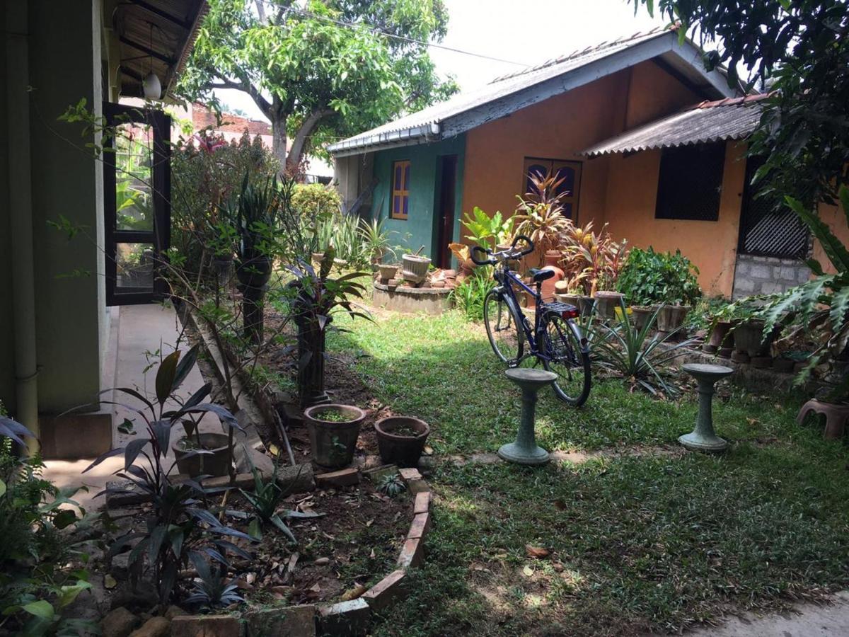 Mazz Homestay Negombo Exteriör bild